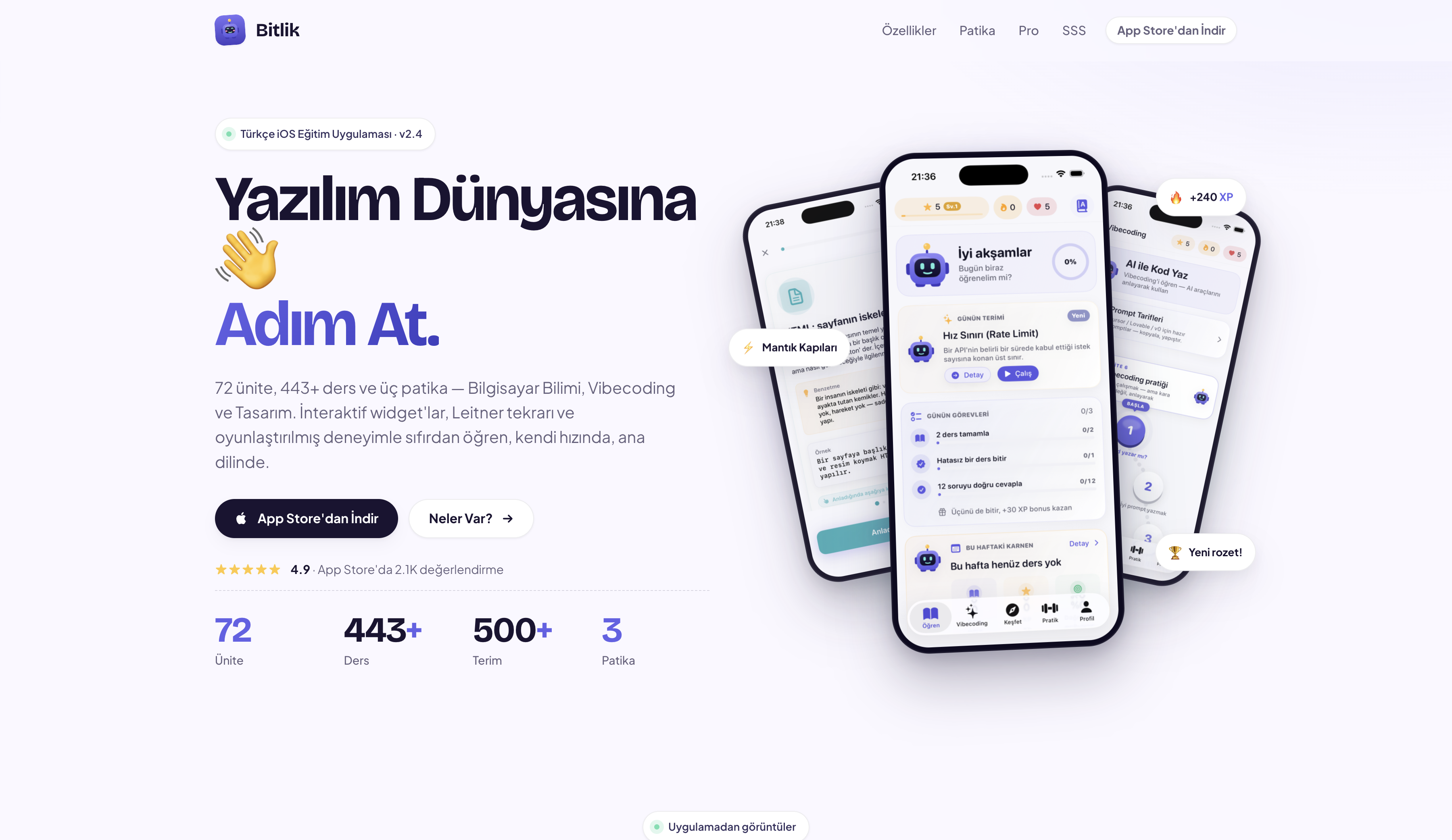 Screenshot of Bitlik website